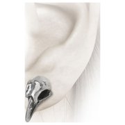 Rabeschadel Pair of Earrings
