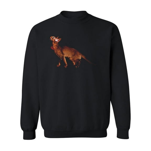 Curious Abyssinian Youngster Sweatshirt Men -Image by Shutterstock, Male Medium