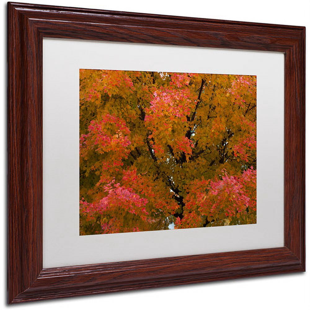 Trademark Fine Art "Autumn Maple Splendor" Canvas Art by Kurt Shaffer White Matte, Wood Frame