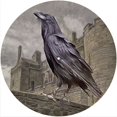 thumbnail image 1 of Slipmat Slip Mat Scratch Pad Feutre pour n'Importe Quel 12" LP Vinyle Tourne-Disque Lecteur Graphique Personnalisé - King Crow, 1 of 1