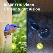 Netvue Birdfy® Bird House with Camera, 1080P Dual-Camera Lifetime AI Identify Bird Nesting and Hatching Feeding Behavior with Automatic Notification, Great Gift for Everyone