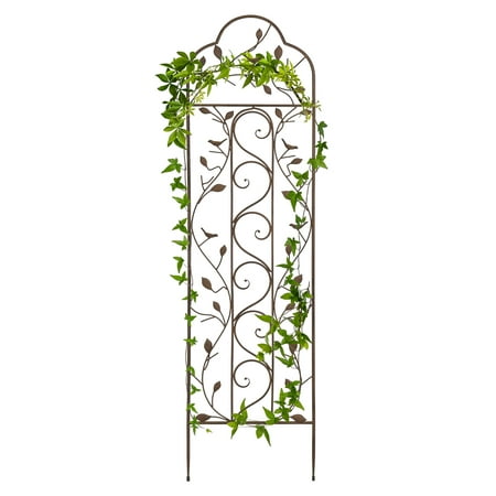 Best Choice Products 5' Iron Arched Garden Trellis - (Best Cucumber Trellis Design)