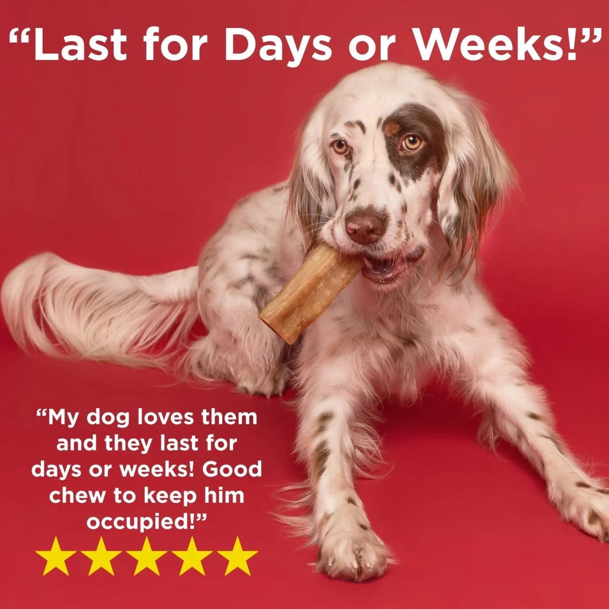 Best Bully Sticks Himalayan Yak Cheese for Dogs X-Large 3 Count -Natural, No Lactose, Odor Free, Long-Lasting Snack