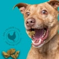 thumbnail image 6 of Premium Stewart Freeze-Dried Chicken Liver Training Treats, 6 of 7