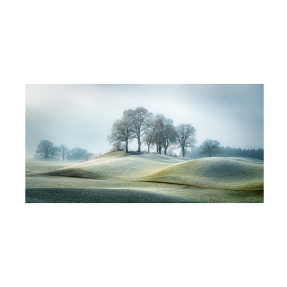 Ulrike Eisenmann 'It Is Not In Tuscany' Canvas Art