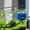 Blue-BU, variant on MMJ Aquarium Magnetic Brush Cleaner Glass Scrubber Algae Remover Mini Fish Tank Tool Non Scratch