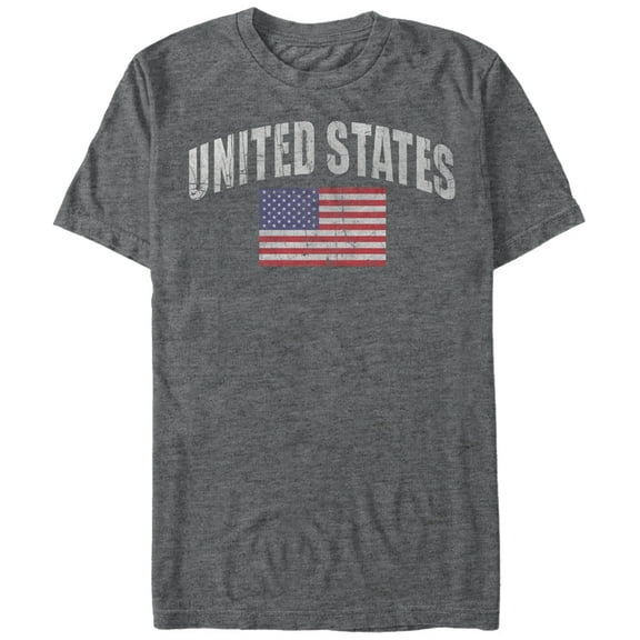 Men's Lost Gods Classic USA Flag  Graphic Tee Charcoal Heather Small