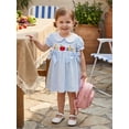 thumbnail image 6 of BemeyourBBs Toddler Baby Girl Back to School Dresses Kids Kindergarten Outfits Baby Girl Summer Dress with Bows Striped Apple Embroidered Puff Short Sleeve Doll Collar Causal A-line Dress, 6 of 9