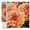 Peach Dahlias, variant on Diamond Dotz Flower Cross Diamond Painting Kits for Adults - Diamond Art Kits a Relaxing Creative Craft Kit with Dotz Gems 16x20