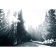 thumbnail image 3 of Murdock, Ramona 24x17 Black Modern Framed Museum Art Print Titled - Light in the Forest IV, 3 of 5