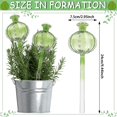 thumbnail image 2 of 3 piezas de globos de riego de plantas LANNMXG inserto de maceta de riego automático de cactus, 2 of 5