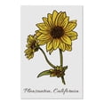 thumbnail image 2 of Pleasanton, California, Prairie Sunflower (19x27 inches, Premium 500 Piece Jigsaw Puzzle for Adults and Family, Made in USA), 2 of 4