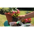 thumbnail image 3 of Gardenera Labs Premium Begonia Plant Potting Mix - Crafted for Lush Growth and Captivating Blooms - 1 Quart, 3 of 3