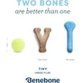 thumbnail image 5 of Benebone Puppy 2-Pack Rubber Bone/Wishbone Bacon Tiny, 5 of 6