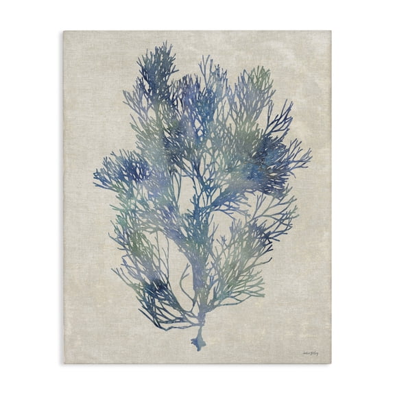 Stupell Industries Transitional Misty Blue Coral Study Canvas Art, 16 x 20, by Amber Sterling