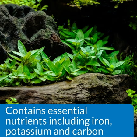 API Root Tabs Freshwater Aquarium Plant Fertilizer, 10 Tablets Per Box