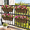 4 Pack-black-24 Inch, variant on 4 Pack-black 30 Inch Window Boxes Planters with Adjustable Brackets and Coco Liners
