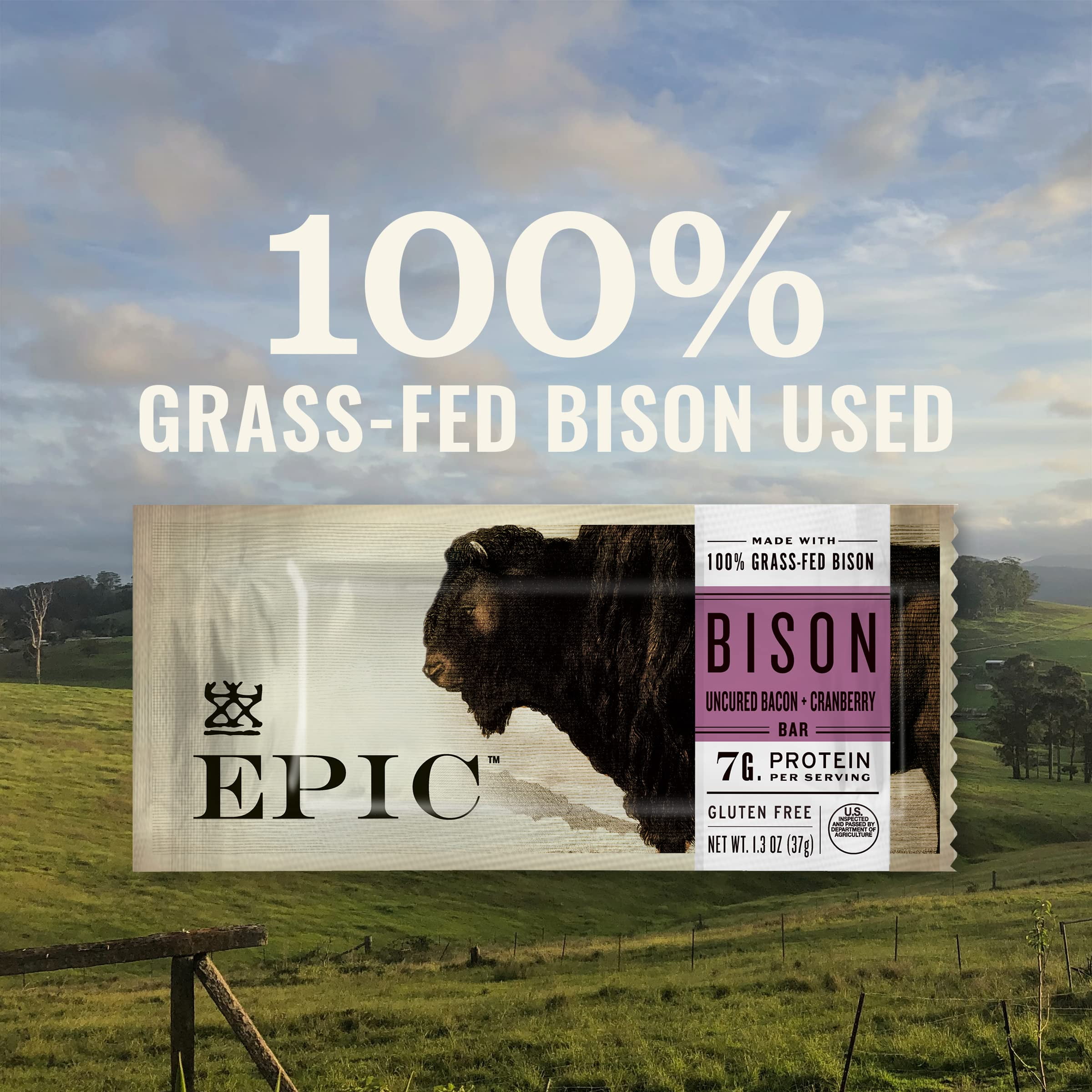 EPIC Bison Uncured Bacon and Cranberry Bars, Grass-Fed, Protein Bar, 12 Count, 15.6 oz