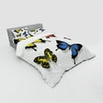thumbnail image 3 of Ambesonne Butterfly Bedding Set 3 Pcs, Nature Moths Wings, Twin XL, Multicolor, 3 of 3