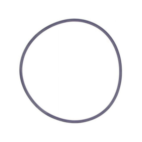 Water Pump Gasket - Compatible with 1995 - 2002 Lincoln Continental 4.6L V8 1996 1997 1998 1999 2000 2001