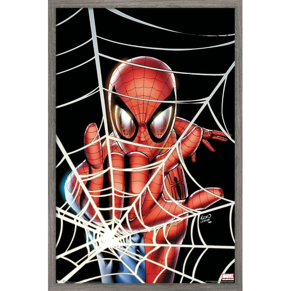 Marvel Comics - Spider-Man - Web Wall Poster, 14.725" x 22.375", Framed