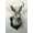 Unframed, variant on Art.com Stuffed Jackalope Art Print, 16" x 24"