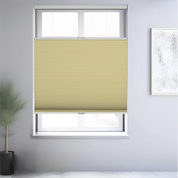 Chicology Cream Blackout Cordless Top Down Bottom Up Cellular Shades 19 in. W x 48 in. L
