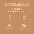 thumbnail image 3 of No Place Like Home Scented Wax Melts, ScentSationals, 2.5 oz, 3 of 4