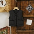 thumbnail image 2 of LIJCC Toddler Puffer Vest Button Down Front Sleeveless Soft Coats Baby Boys Girls Lightweight Winter Warm Quilted Cute Jackets with Pockets, 2 of 7