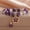 Style 1, variant on Exquisite Purple Crystal Bead Bracelet Natural Stone Healing Bracelets Star Zircon Pendant Bracelet for Women Girls Jewelry Accessories Gifts