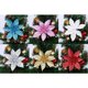 thumbnail image 3 of 10Pcs Christmas Glitter Artificial Poinsettia Flowers Xmas Poinsettia Artificial Wedding Flowers Decorations Xmas Tree Ornaments for Party Favors, 3.6inch, 3 of 4