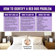 Natures Mace Bed Bug Killer 16oz Ready-to-Use Spray | Works on Bed Bugs, Lice, Fleas, and Dust Mites