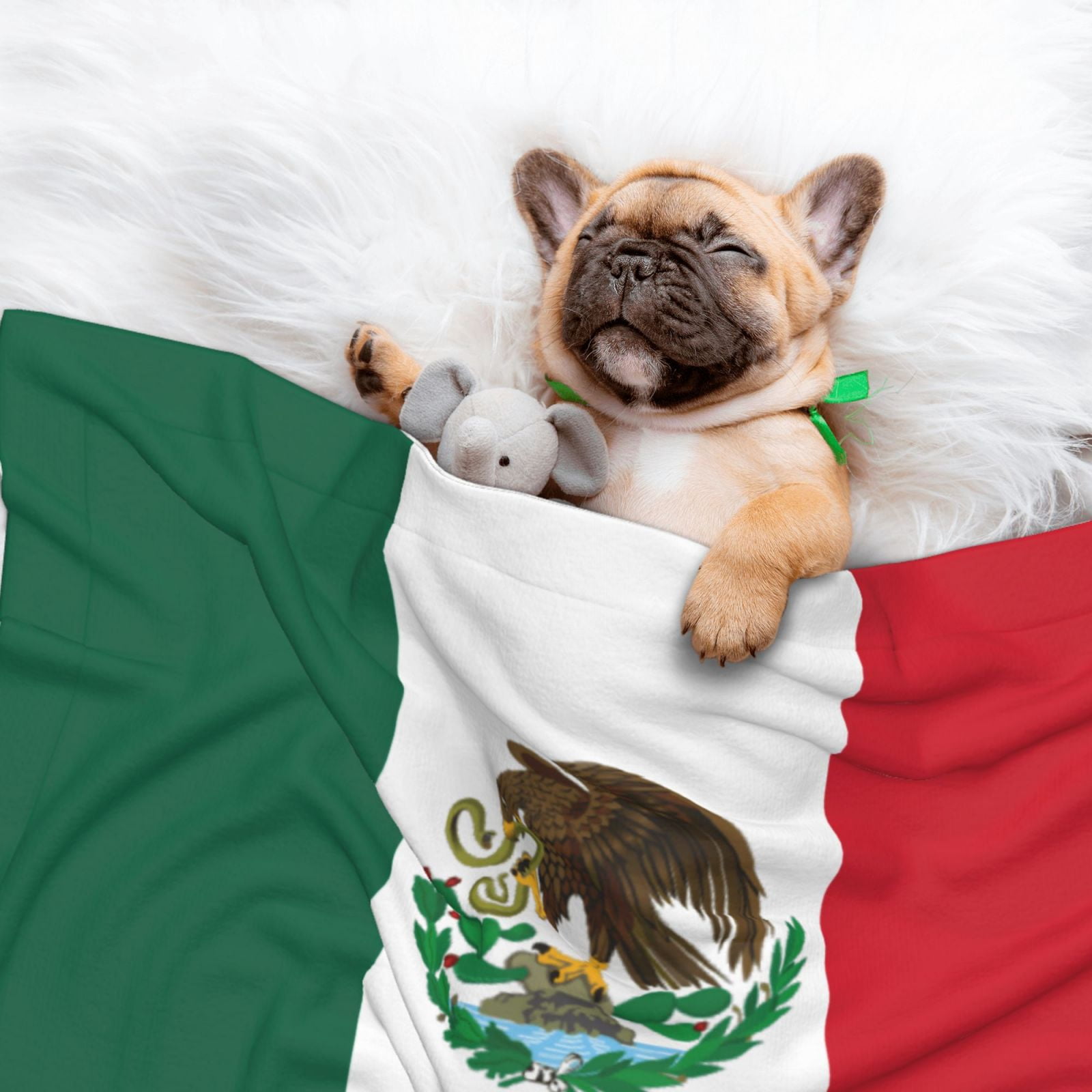 Flannel Throw Dog Blanket Mexico-Flag Soft Warm Print Pet Blankets for Small Dog Cat Puppy