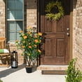 thumbnail image 2 of Topbuy 40” Artificial Camellia Tree in Cement Pot Greenery Potted Plant, 2 of 10