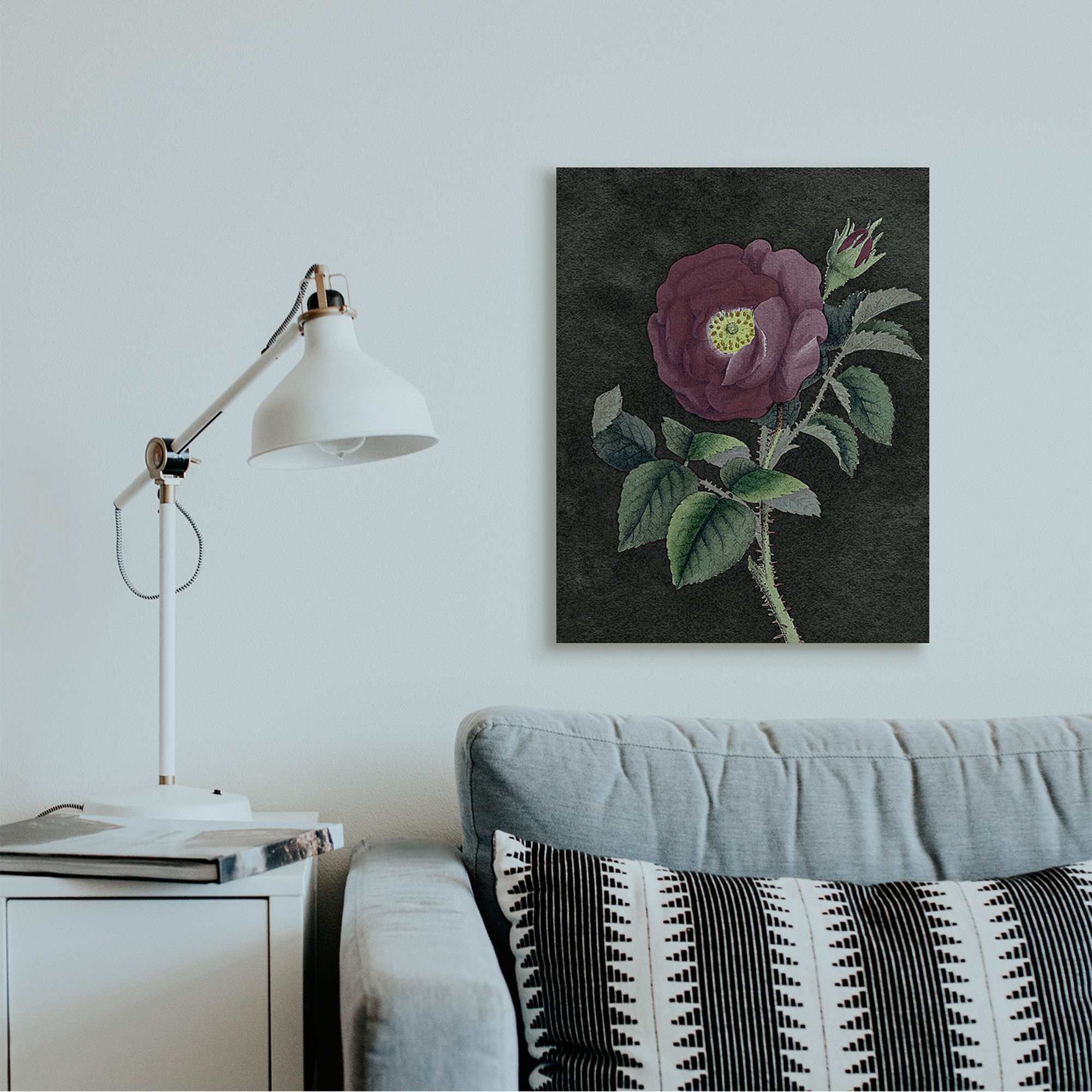 Stupell Industries Purple Poppy Vintage Illustration Thorne Flower Canvas Wall Art by Daphne Polselli