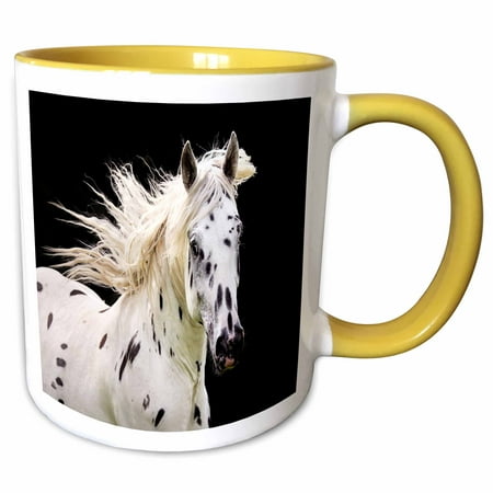 3drose, Beautiful Appaloosa Horse, 15oz Two-tone Yellow Mug