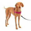 Image thumbnail_image