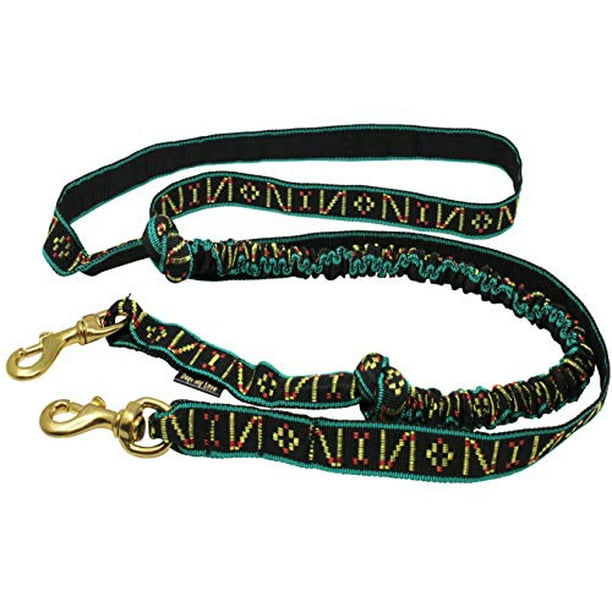 Shock Absorbing Bikejoring Skijoring Bungee Dog Leash Line 1" Wide