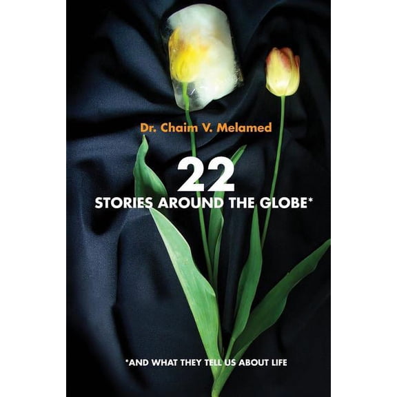 22 Stories Around the Globe : And What They Tell Us about Life (Paperback)