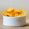 thumbnail image 3 of Terrasoul Superfoods Organic Dried Mango Slices, 1 Lb  - Naturally Sweet & Tart | No-Added Sugar | Healthy Prebiotic, 3 of 8
