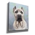 thumbnail image 2 of Epic Graffiti 'Cane Corso 2' by Barbara Keith, Canvas Wall Art, 26"x30", 2 of 8