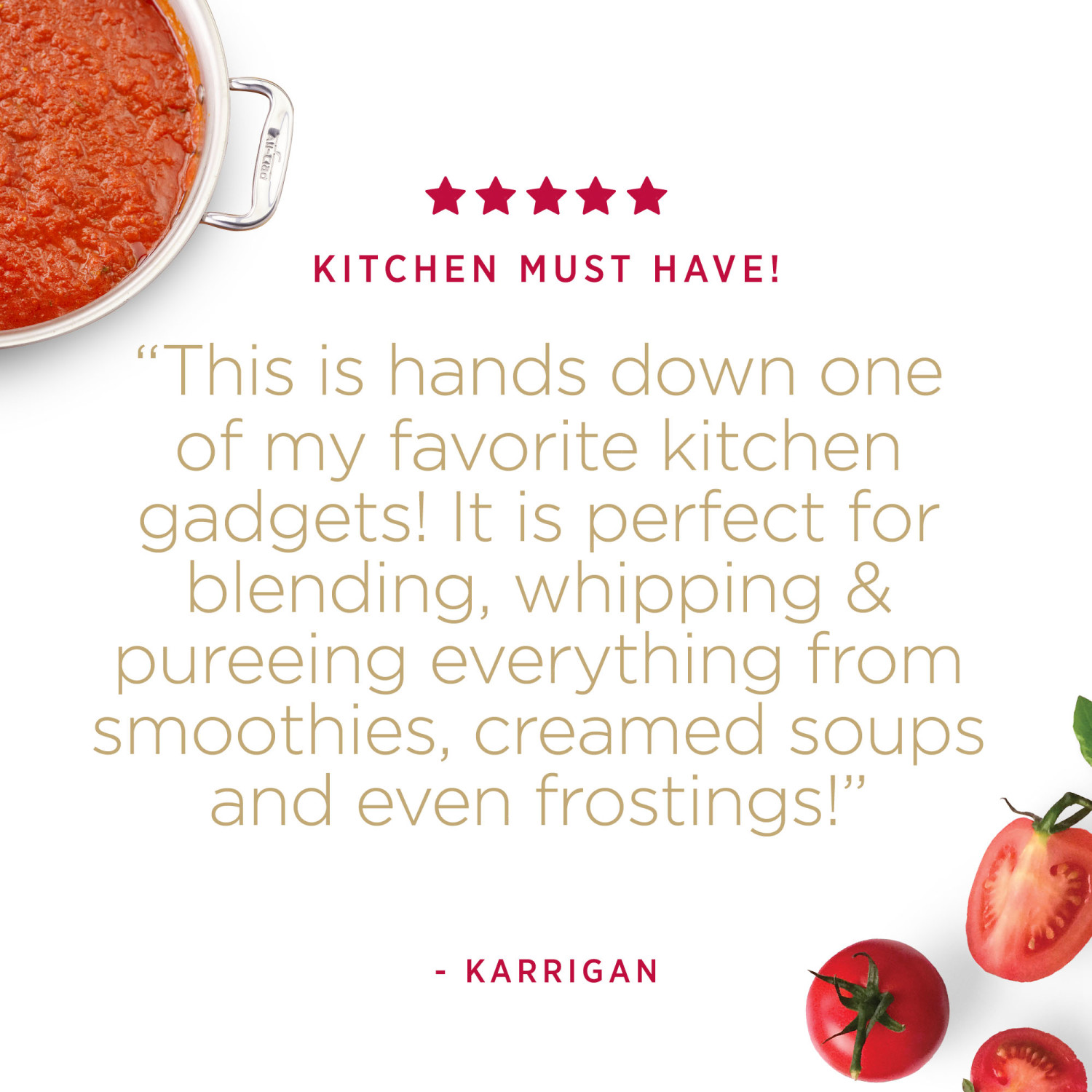 AllClad Immersion Stainless Steel Blender 600 Watts, Silver