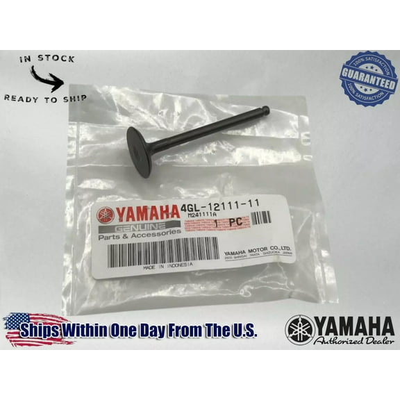Yamaha Genuine OEM Authentic VALVE, INTAKE 4GL-12111-11-00