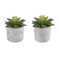 thumbnail image 2 of Flora Bunda CS2243E2 Set of 2 Pattern cement pot, 2 of 4