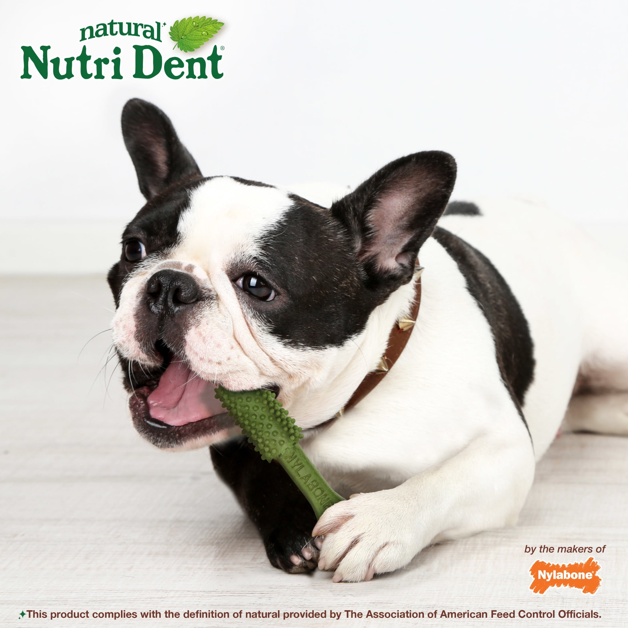 Nylabone Nutri Dent Natural Dental Chews for Dogs, Limited Ingredient Dog Treats, Teeth Cleaning Dental Sticks for Dogs, Fresh Breath Flavor, For Medium Dogs (40 Count)