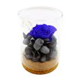thumbnail image 1 of Amdohai Vraie Fleur de Rose Préservée Rose Éternelle en Verre Parfumée pour Toujours, 1 of 7