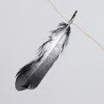 thumbnail image 3 of Guirnalda de borlas de plumas para colgar banderines para decoración de bodas y fiestas do, 3 of 9