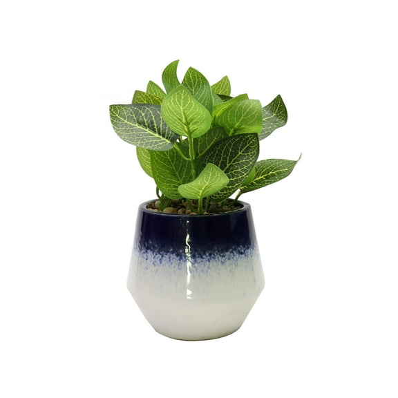 Nature's Mark 8.7’’H Artificial Pinstripe Plant in Blue and White Shaped Ceramic Pot