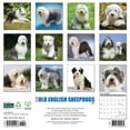 thumbnail image 2 of Just Old English Sheepdogs 2025 12 X 12 Wall Calendar, (Paperback), 2 of 5