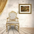 thumbnail image 3 of SMO 14x11 Gold Ornate Wood Framed with Double Matting Museum Art Print Titled - Desert wildflower bloom at Anza Borrego Park in California, 3 of 4